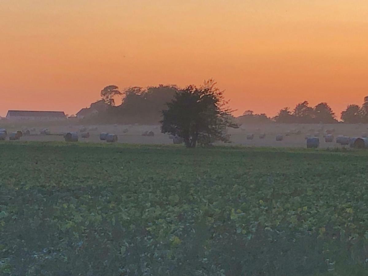 Maelarhusen Semesterby Oesterlen - Stugor & Gardssviter Sandby Bagian luar foto